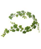 Druivenblad guirlande kunsthanger 180cm - groen