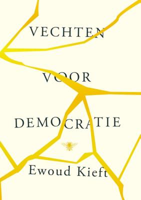 Vechten voor democratie (Paperback)