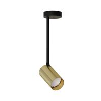 Lyora Gouden plafondspotMono Long kantelbaar - 7731
