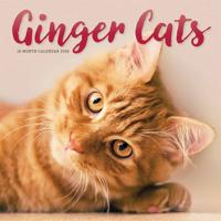 Rode Katten Kalender 2026