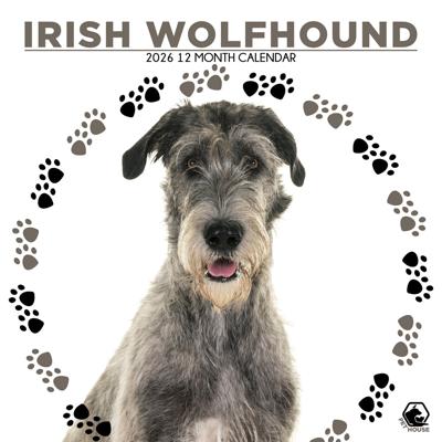 Ierse Wolfshond Kalender 2026