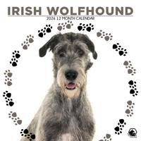Ierse Wolfshond Kalender 2026