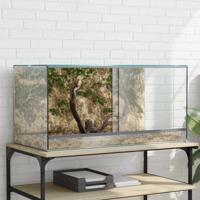 VidaXL Terrarium met opslag doorzichtig 80 x 40 x 40 cm glas