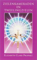 Zielenkameraden en tweeling zielen (Paperback)