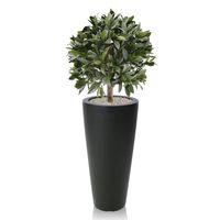 Laurierbol kunstplant 55cm - UV bestendig