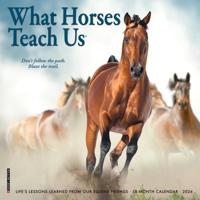 What Horses Teach Us Kalender 2026 Mini