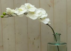 Kunstvlinderorchidee op steker wit - Warentuin Mix