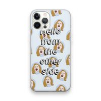Hello: iPhone 12 Pro Max Transparant Hoesje
