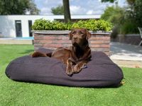 Dog's Companion® Hondenbed Copenhagen black - thumbnail