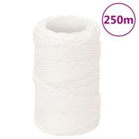 Boottouw 2 mm 250 m polypropyleen volwit