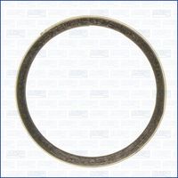 Afdichtring, uitlaatpijp 19005500
