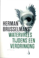 Watervrees tijdens een verdrinking - Herman Brusselmans - ebook