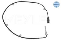 Sensor, uitlaatgastemperatuur 6148000054