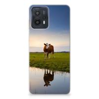Motorola Moto G23 | G13 | TPU Hoesje | Koe