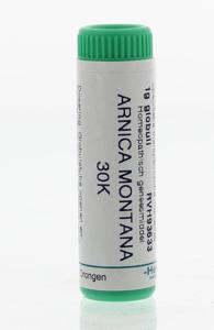 Arnica montana 30K