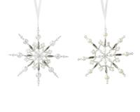 Sneeuwvlok plastic d15l1 cm parel a2 - Decoris