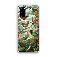 Haeckel Trochilidae: Samsung Galaxy S20 Transparant Hoesje