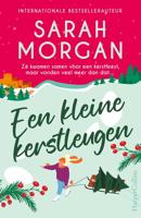 Een kleine kerstleugen - Sarah Morgan - ebook