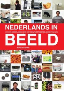 Nederlands in beeld (Paperback)