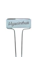 Plaatetiketten zink met tuinpotlood 26cm set a 6 stuks - Nature