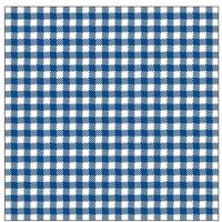 Servetten - geruit/ruitjes - blauw/wit - 40x stuks - 3-laags - feestartikelen party bbq servetten