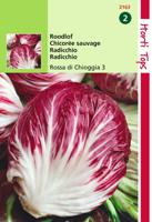 Radicchio Rosso Di Chioggia Palla Rossa 4 - Hortitops