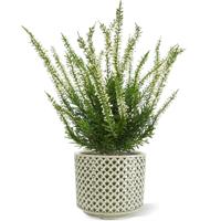 Erica heide kunstplant 30cm - creme