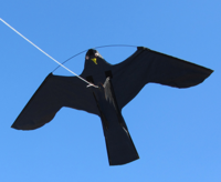 Birdshield 7 meter lang + vogel Birdshield 7 meter lang + vogel