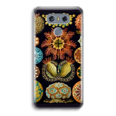 Haeckel Ascidiae: LG G6 Transparant Hoesje