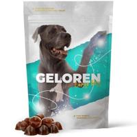 GELOREN Large dog Joints - hondenvitamines - 420g