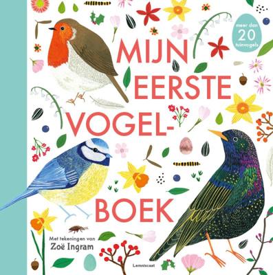 Mijn eerste vogelboek (Hardback)