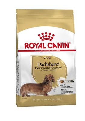Royal Canin canin dachshund / teckel adult