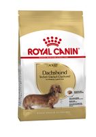 Royal canin Canin Canin dachshund / teckel adult