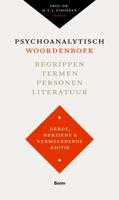 Psychoanalytisch woordenboek (Paperback)