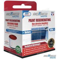 Productos para metales y pulimentos PXPB500 - REGENERANTE PINTURA