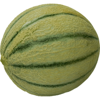 Jumbo Cantaloupe Meloen 1 Stuks