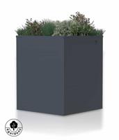 4gardenz 4gardenz vierkante plantenbak met verhoogde bodem 50x50x60cm - antraciet