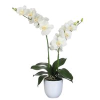 Mica Decorations Orchidee bloem kunstplant - parel wit - H66 x B38 cm - Kunstplanten - thumbnail
