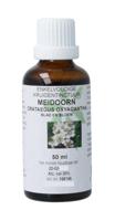 Natura Sanat Crataegus oxyacantha / meidoorn tinctuur