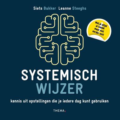 Systemisch wijzer (Hardback)