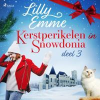 Kerstperikelen in Snowdonia - deel 3