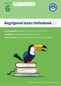 Begrijpend lezen (Paperback)