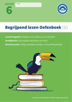 Begrijpend lezen (Paperback)