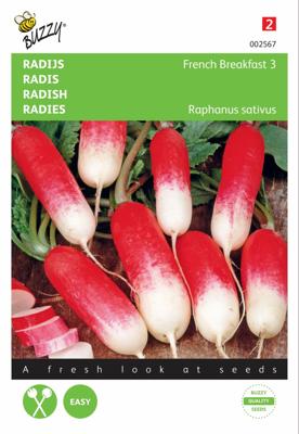 Radijs Halflange Rode Groot Witpunt - Buzzy