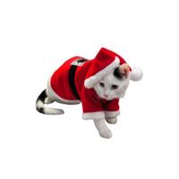 Sandy Kerst kostuum - rood - voor hond of kat - vilt / pluche - kerstmannenpakje voor huisdieren