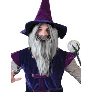Carnaval verkleed set Tovenaar - grijze pruik met baard - heren - Halloween