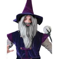 Carnaval verkleed set Tovenaar - grijze pruik met baard - heren - Halloween