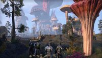 Bethesda The Elder Scrolls Online : Morrowind Standaard Duits, Engels, Frans PlayStation 4 - thumbnail