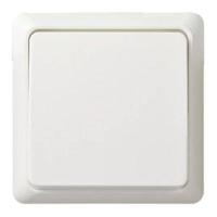 ELSO-toets 502104 10A complete RENOVATIE rw Meerdere kleuren 1 stuk(s)