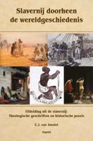 Slavernij doorheen de wereldgeschiedenis (Paperback)